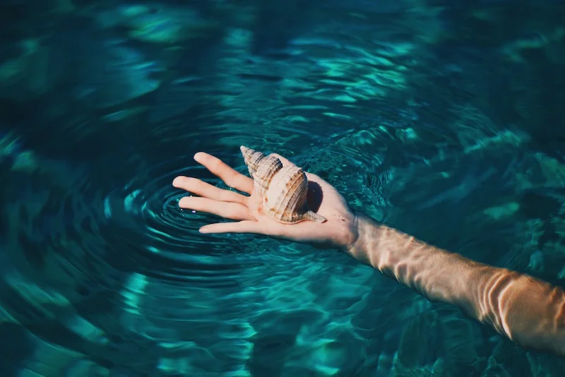 Another kind of perfect shell. Photo by Biel Morro .