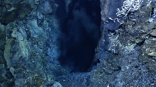 Orifice of Von Damm hydrothermal vent in the Carribean, source of heat, minerals & biodiversity. Photo by NOAA .