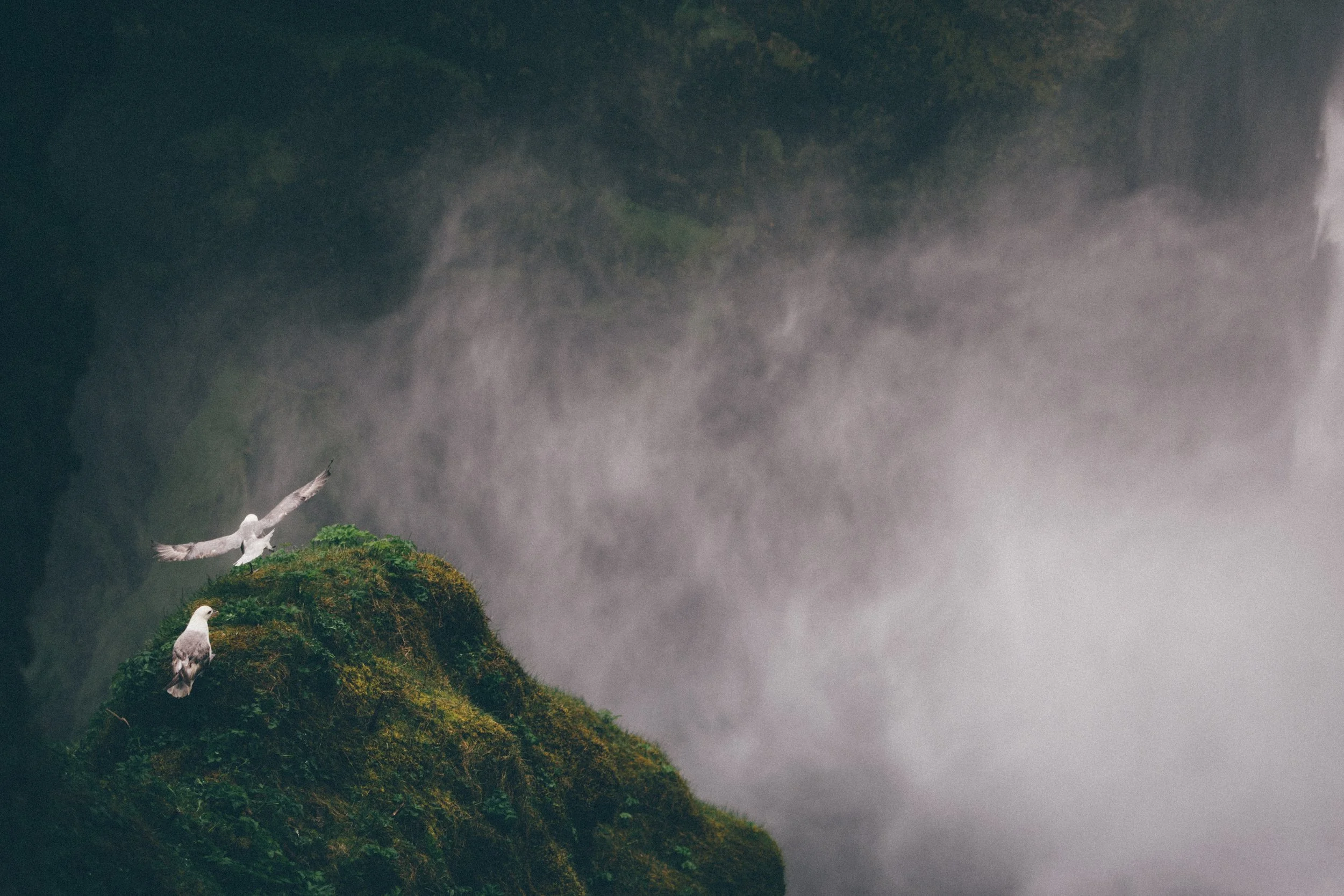 'The spirit is not quite sure if it should come or not.' Photo by Jose Murillo .