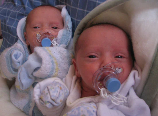 Twins are a possibility. Photo by felipepuntocl