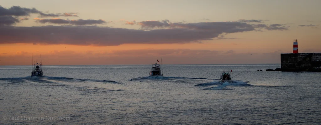 3 of the team boats gun their engines at daybreak on day 2 of the tournament at Ponta Delgada.