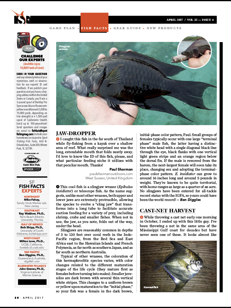 Weird Fish makes the SportFishing Magazine pages — Paul Sharman