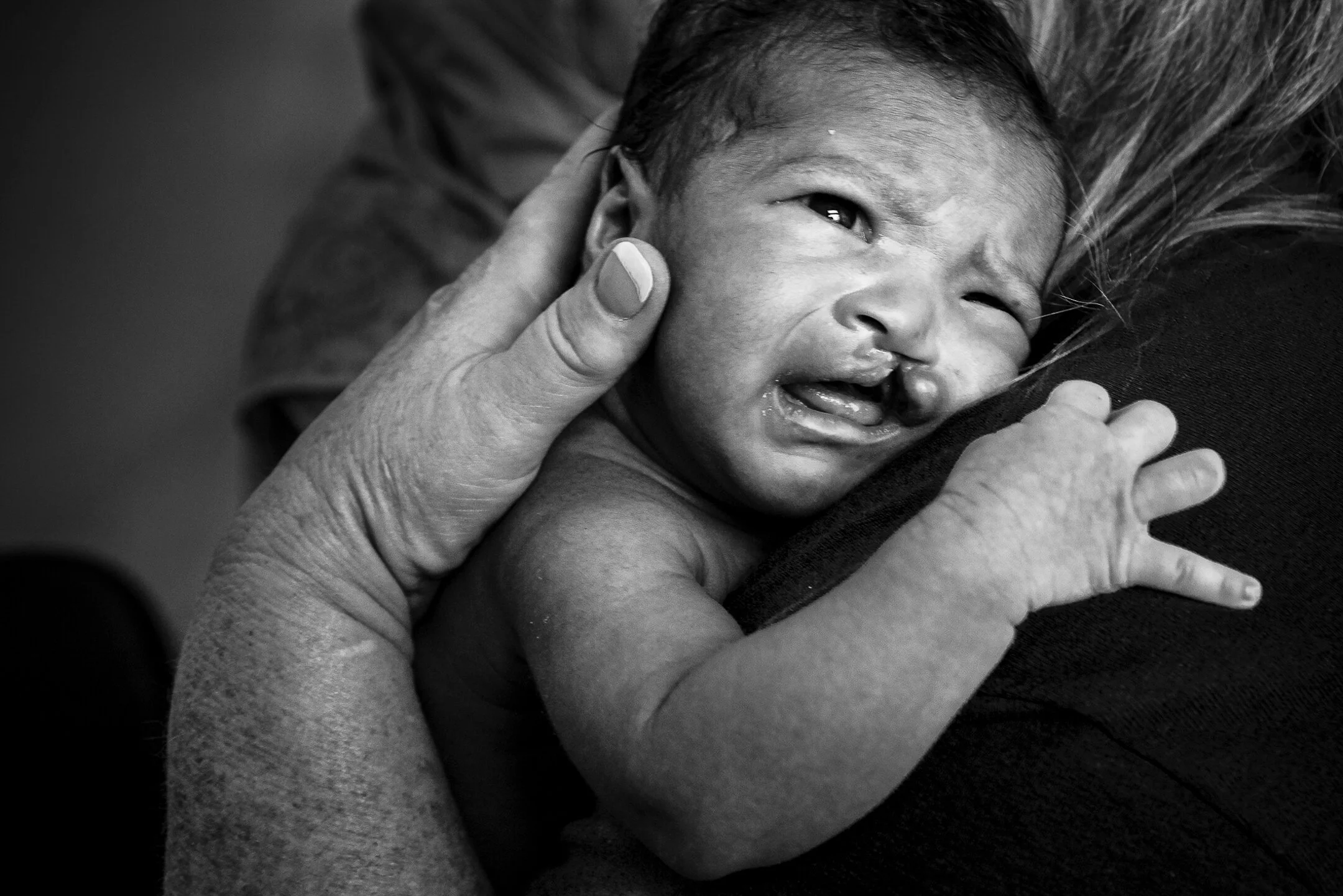 _U6A1277 copyrez4web_1.jpg