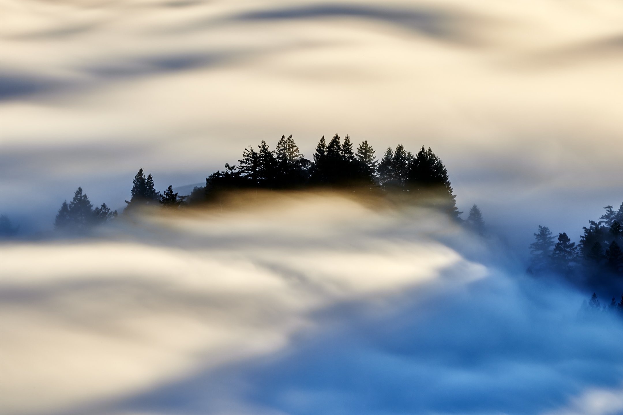 foggy06_01_22.jpg
