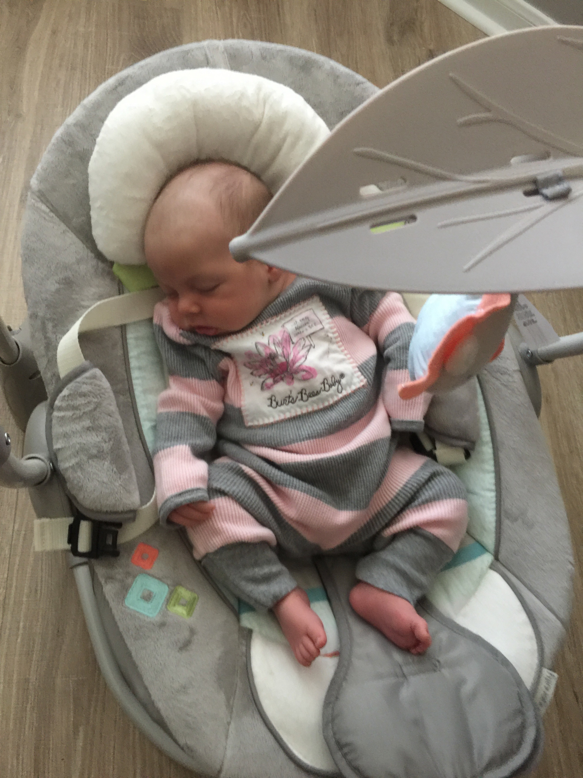 Jane at 5 Weeks.