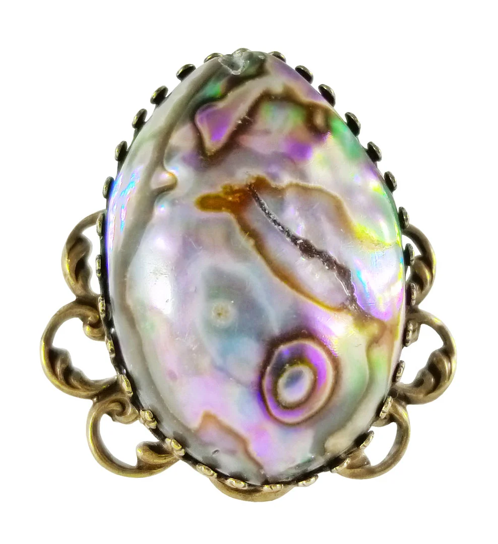 abalone dome 49.jpg