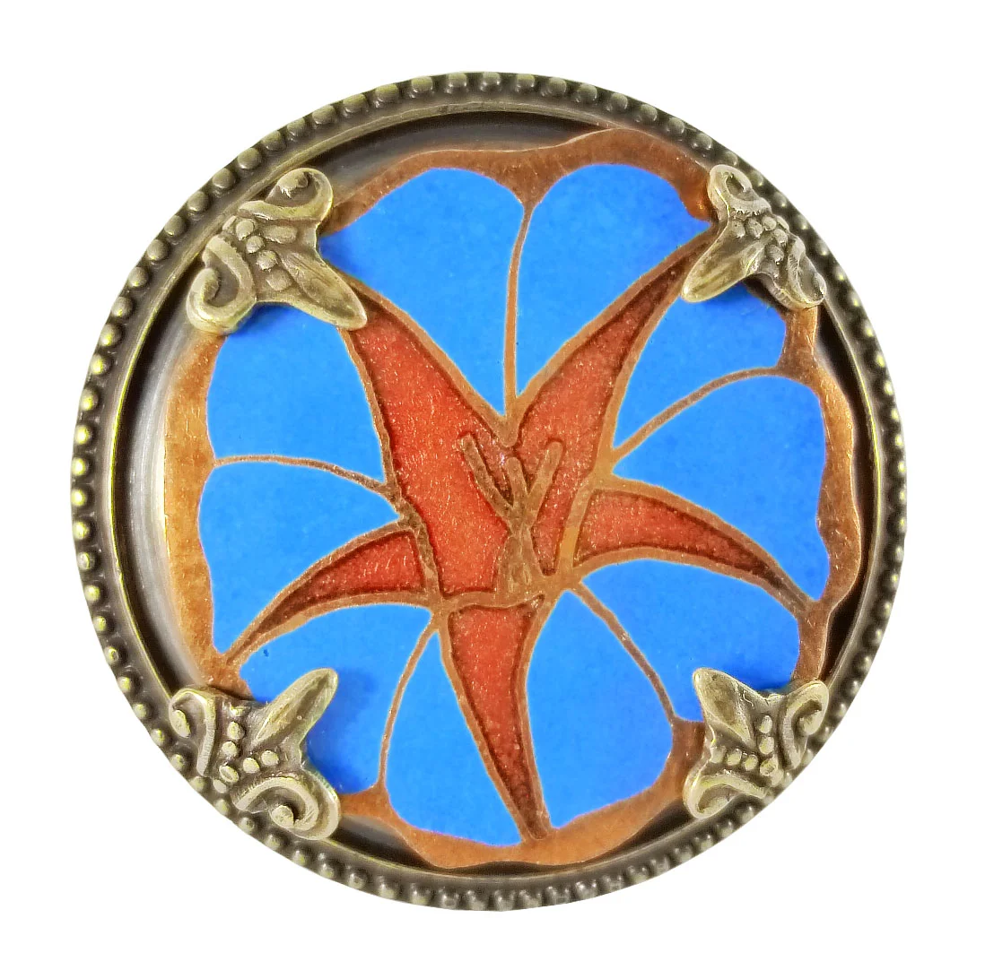 morning glory 41.jpg