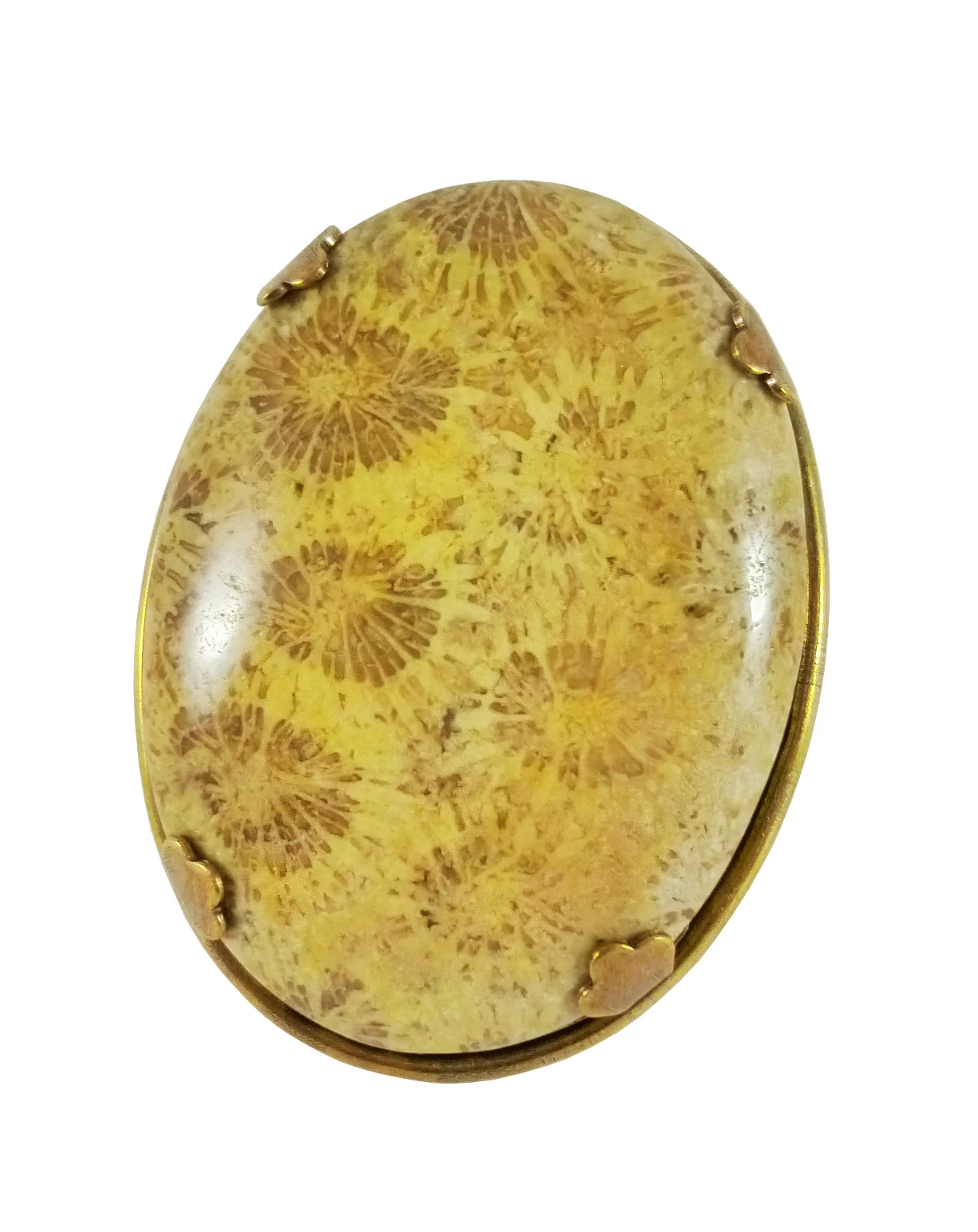 large set stone fossil 69.jpg
