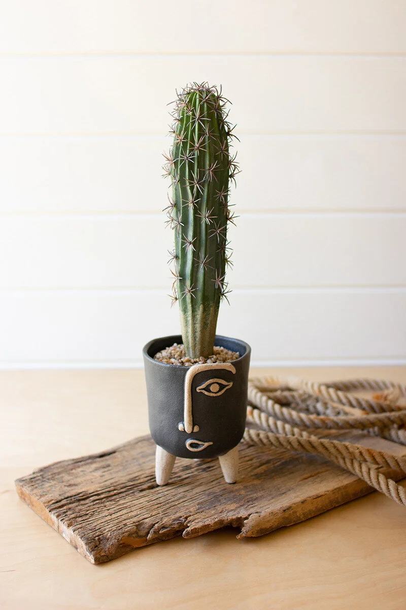Fun Fake Cactus  JOHNNIE Q
