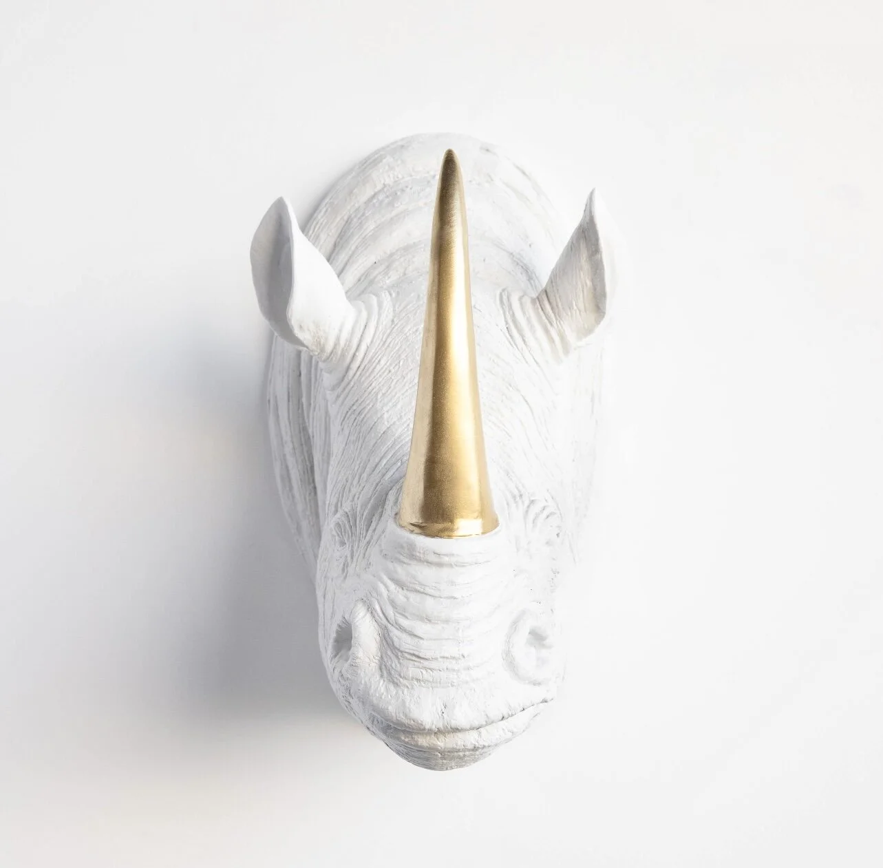 38C150F9-32DB-4205-82B4-509FB3997C9F