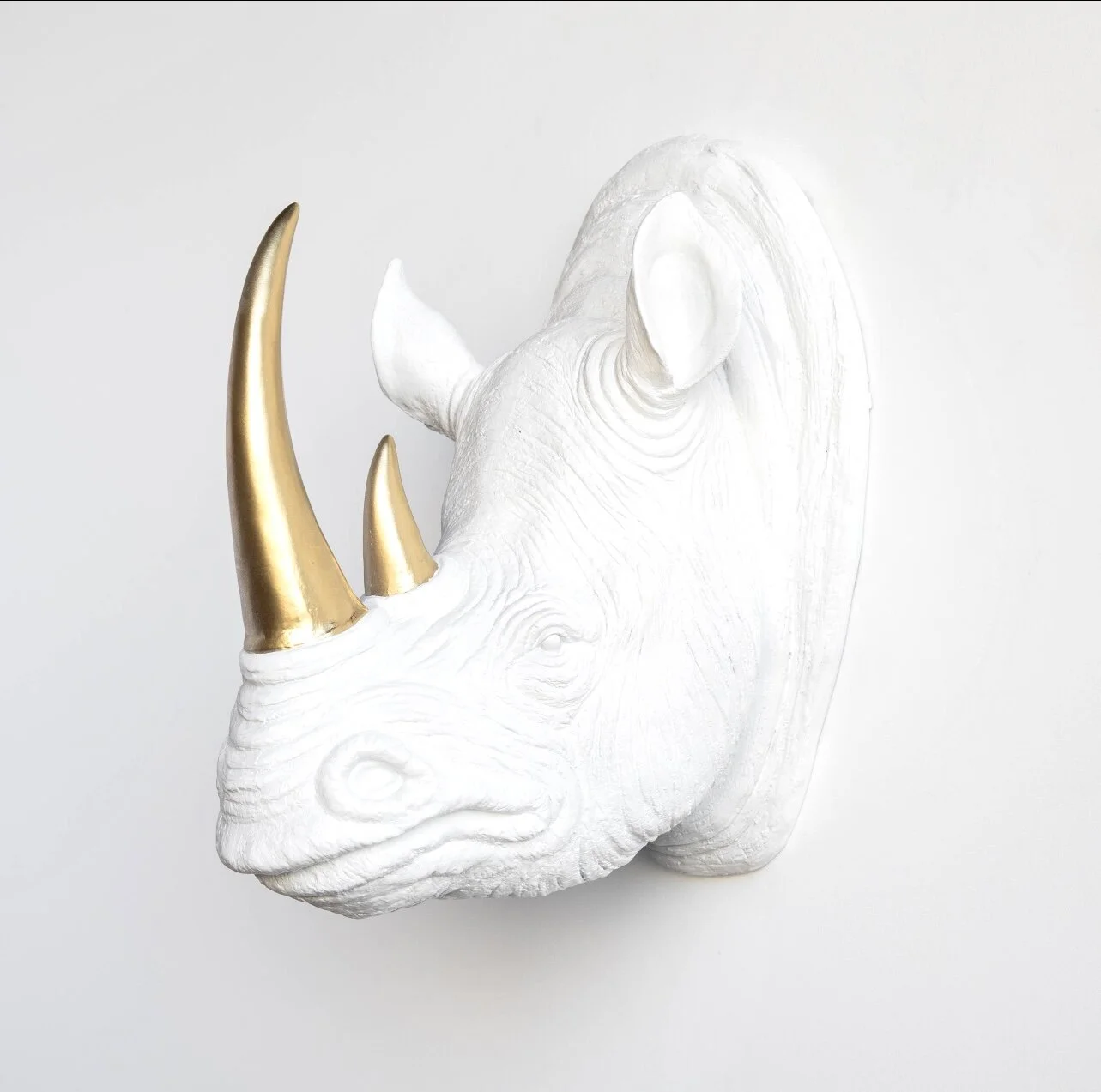 2241AF46-B37E-4177-B8A9-AEB356A1988E