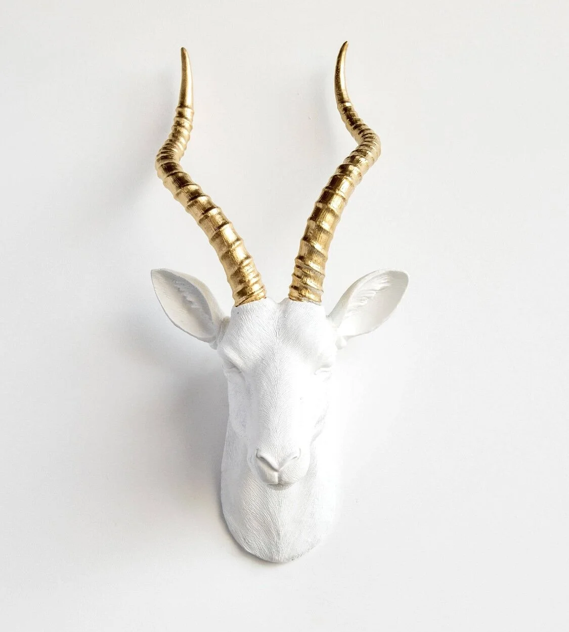 20FD4E5D-C5F5-4243-91A5-92EEFF895107