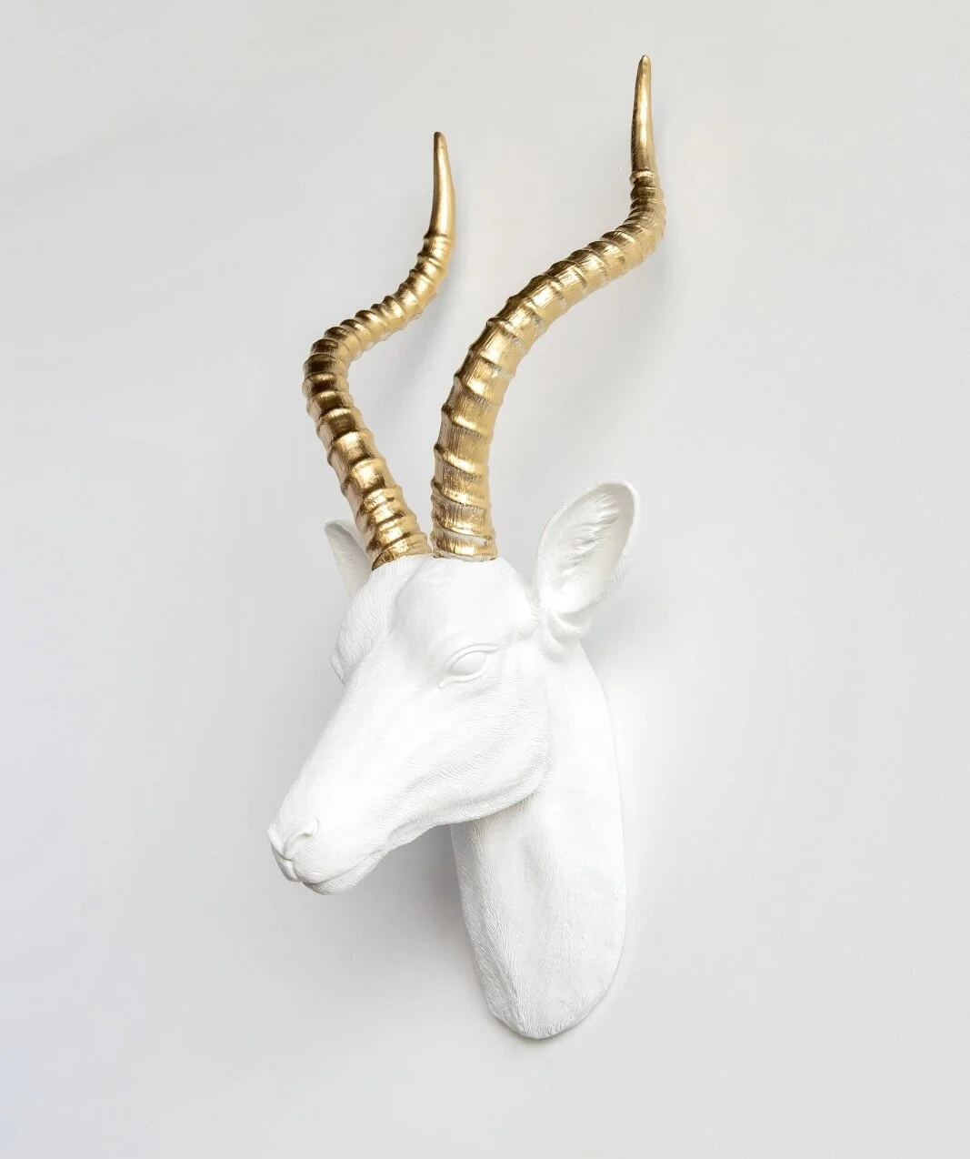 777D0F1E-B0CE-4B5E-A7A8-1F54668B0CC1