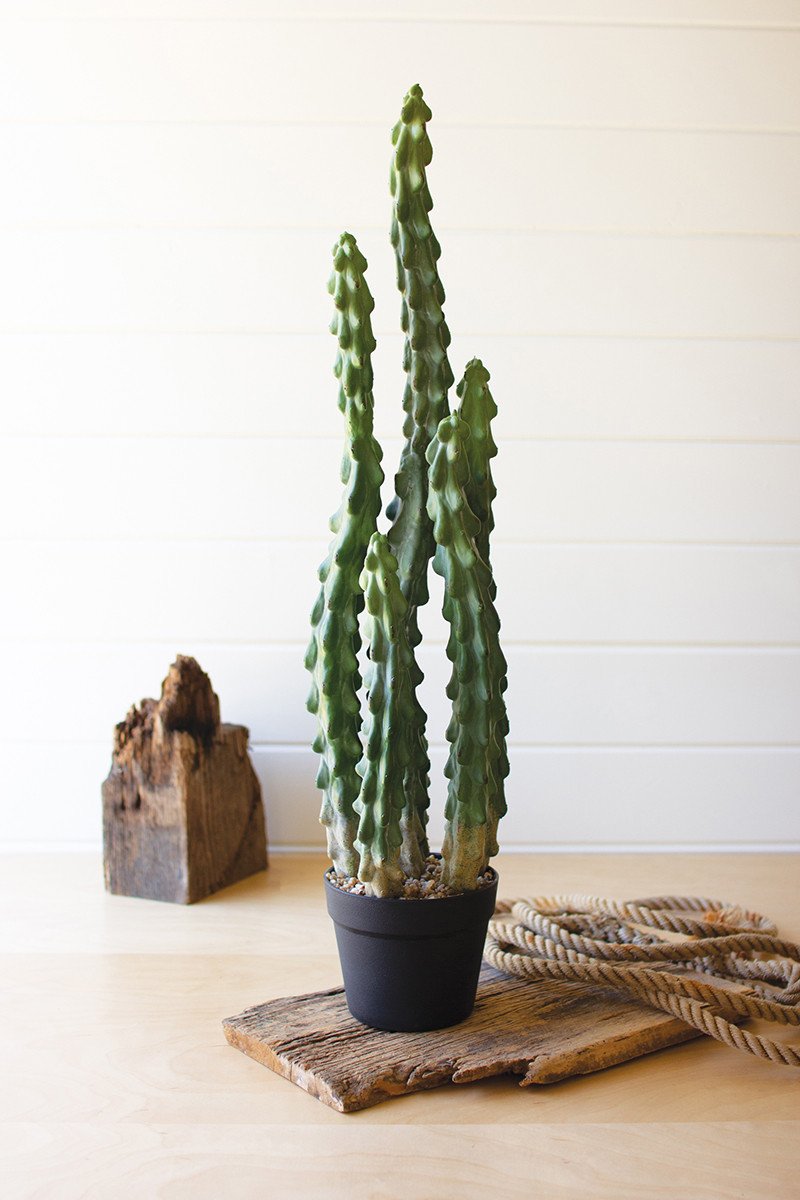 Six Stem Faux Cactus  JOHNNIE Q