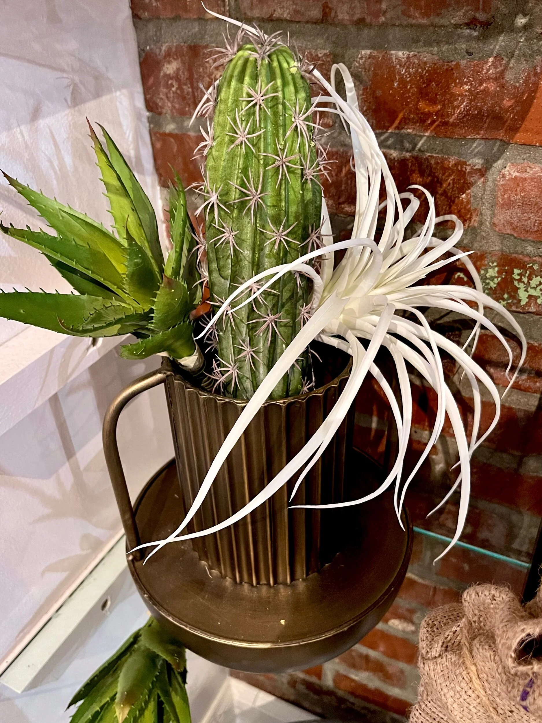 453E0E96-5B50-4EF1-8FCA-FE8CC686B31F