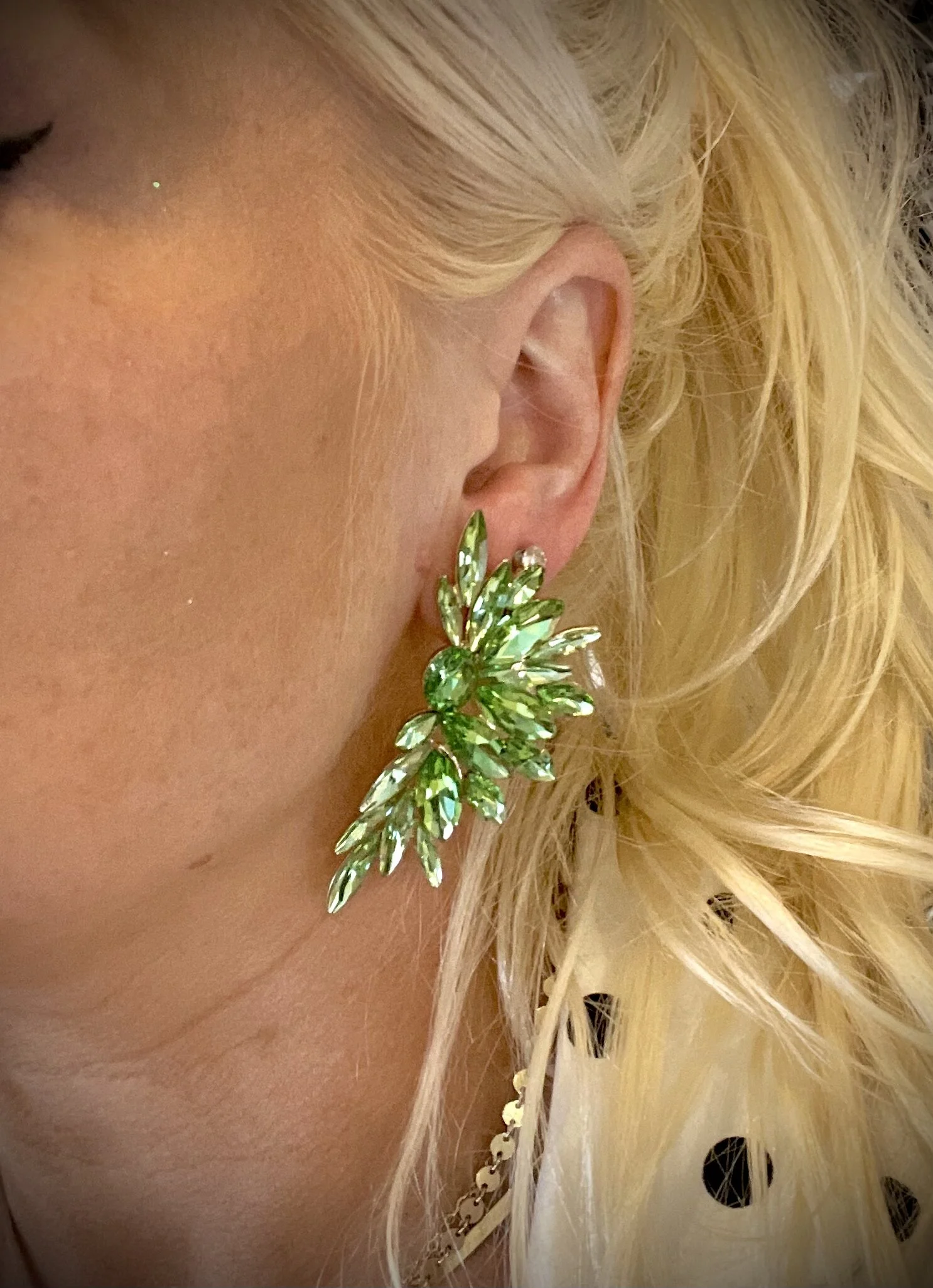 F9407C1B-FC50-4544-91BA-5A0580AAE06C