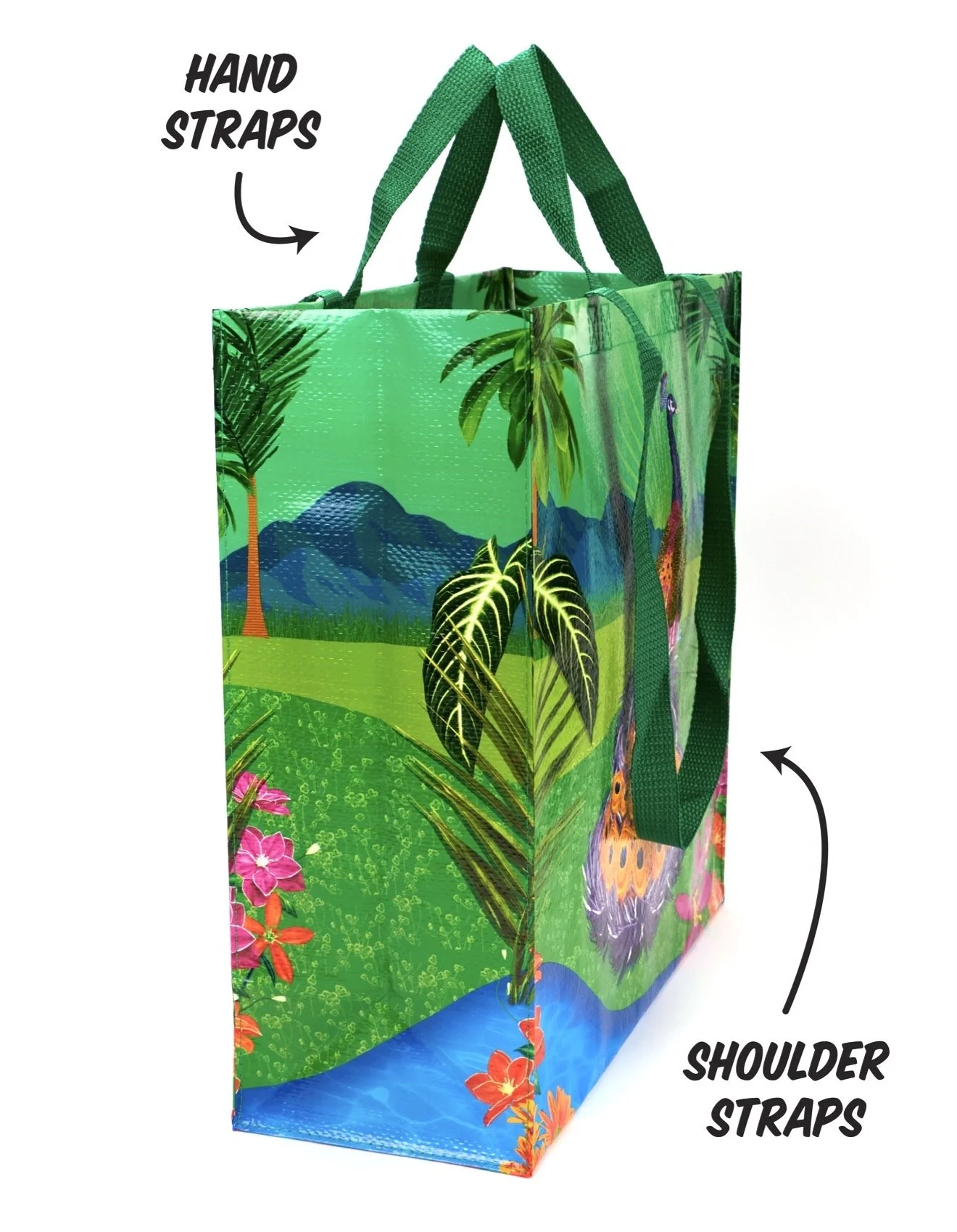 IMG_8021.jpeg