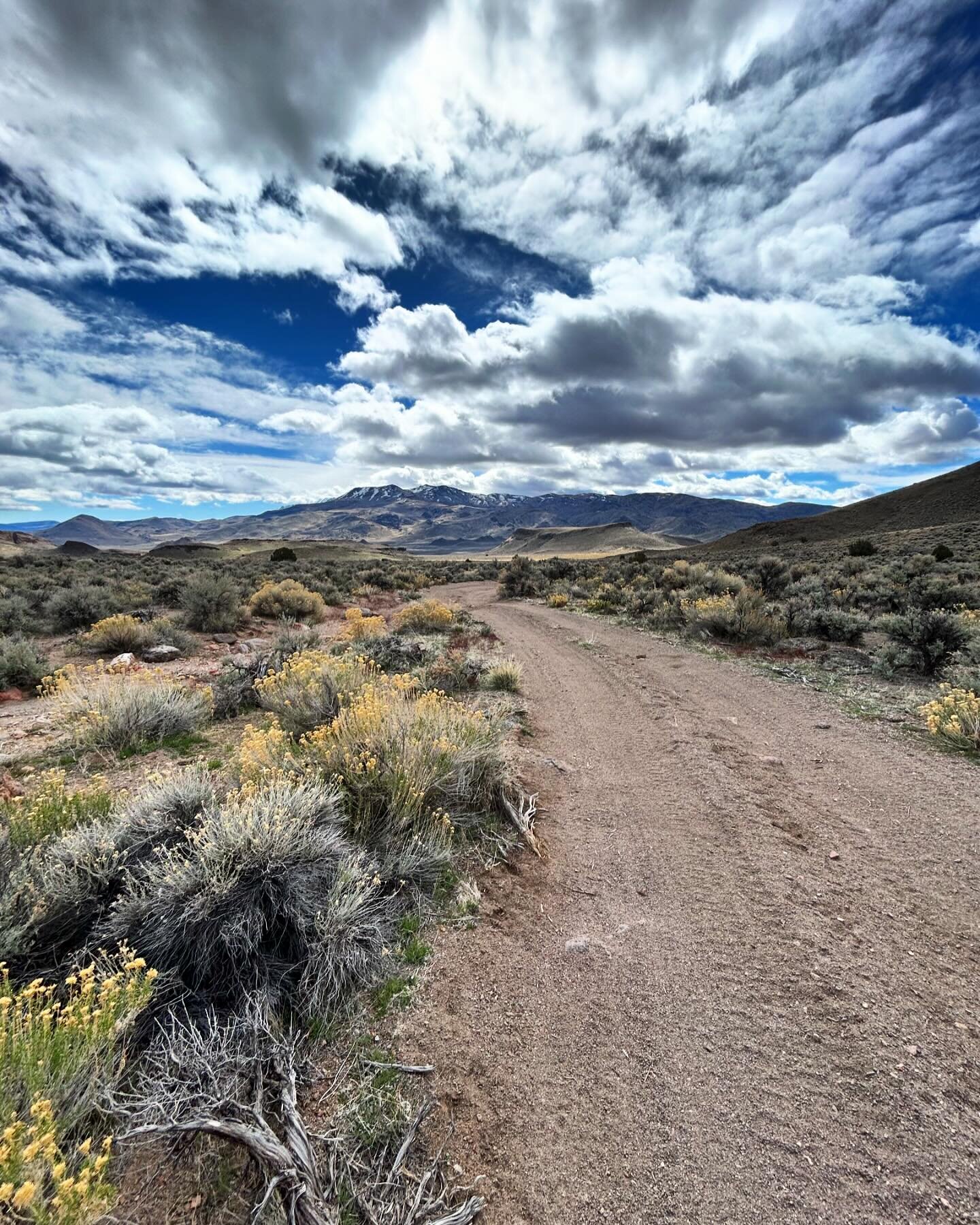 Desert Hiking Season in Nevada 🏔️ #hikemoreworryless