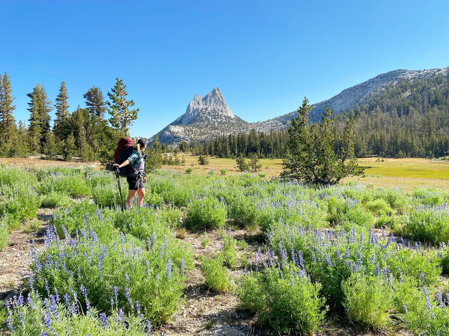 Looking forward to more mountain adventures this year! We&rsquo;ve got backpacking trips planned for Inyo National Forest and Desolation Wilderness&hellip; where are you going this summer?
