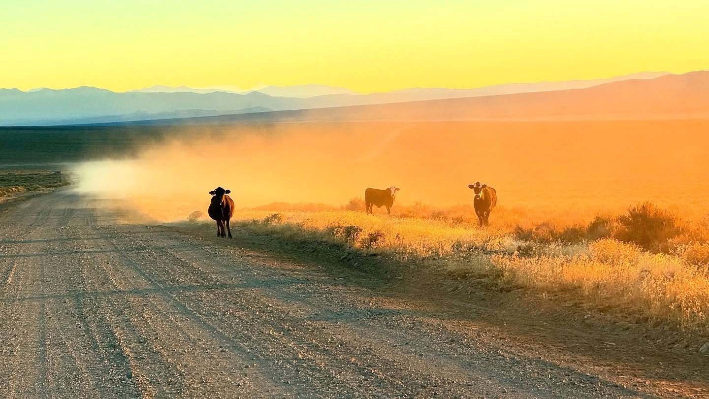 Nothing like a night hike though a ghost town on Halloween 👻