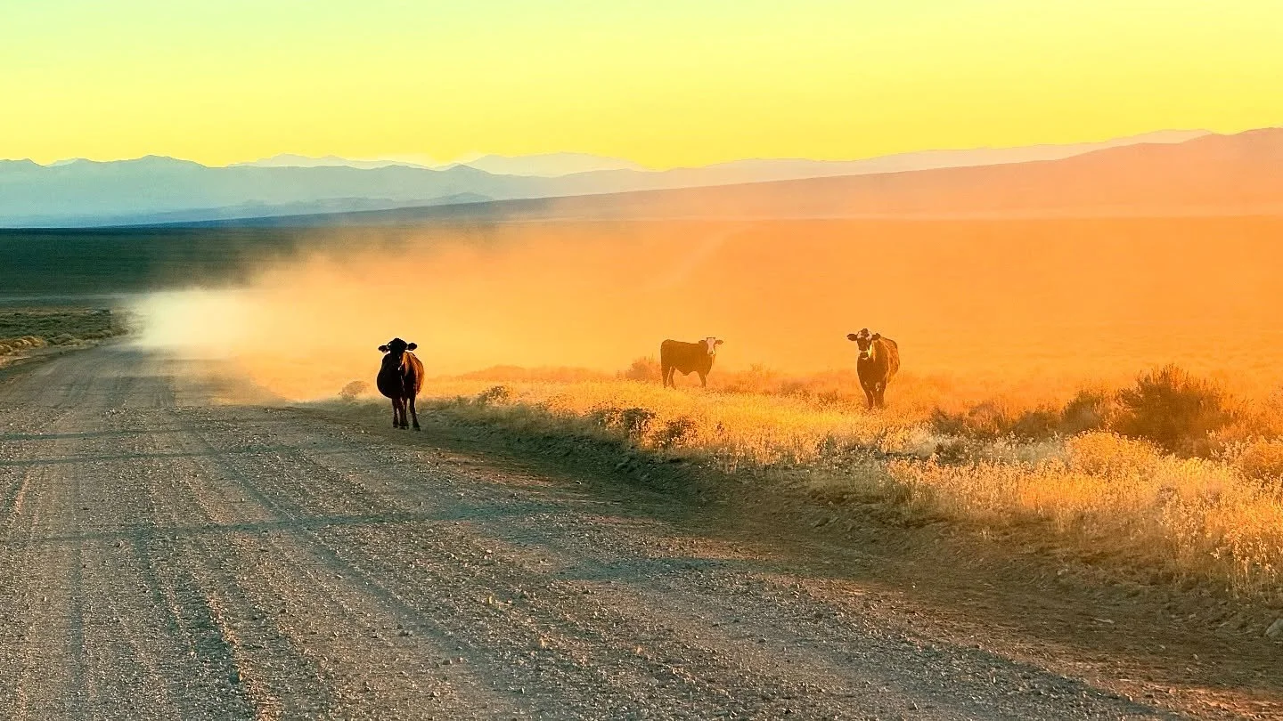Nothing like a night hike though a ghost town on Halloween 👻