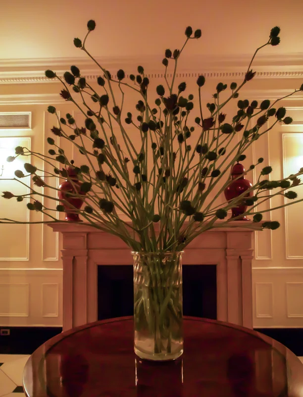 PA190270.jpg