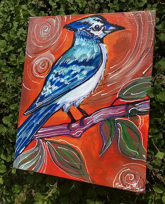 IMG_2443_Bluejay_web.jpg