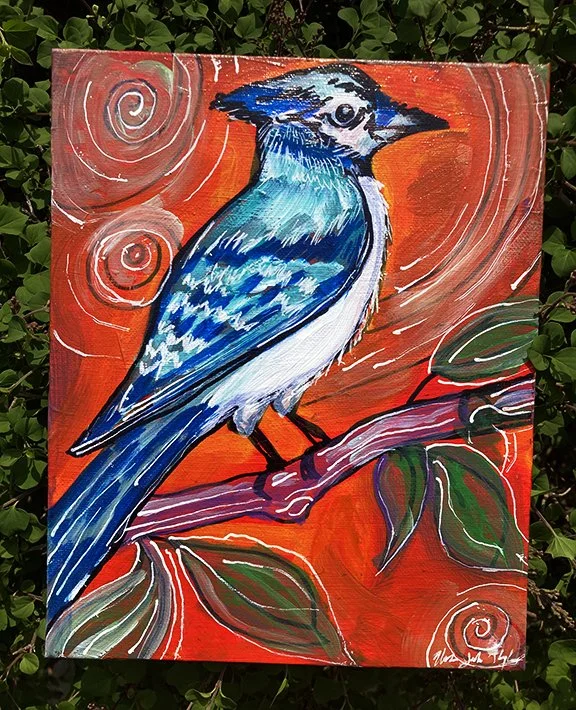 IMG_2442_Bluejay_web.jpg