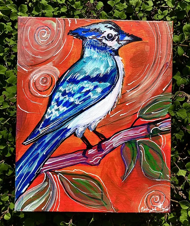 IMG_2441_Bluejay_web.jpg