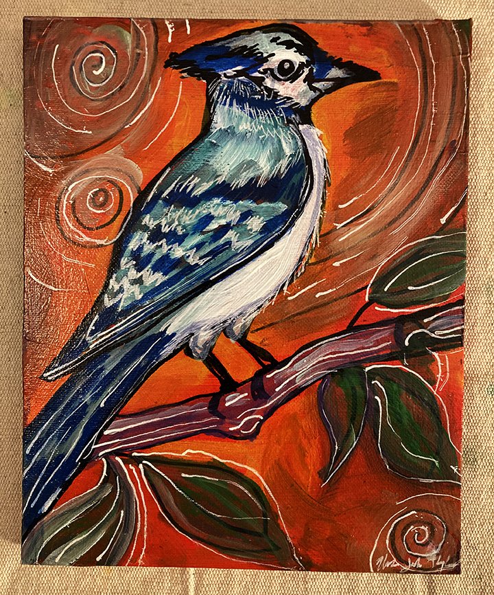 IMG_2366_Bluejay_web.jpg