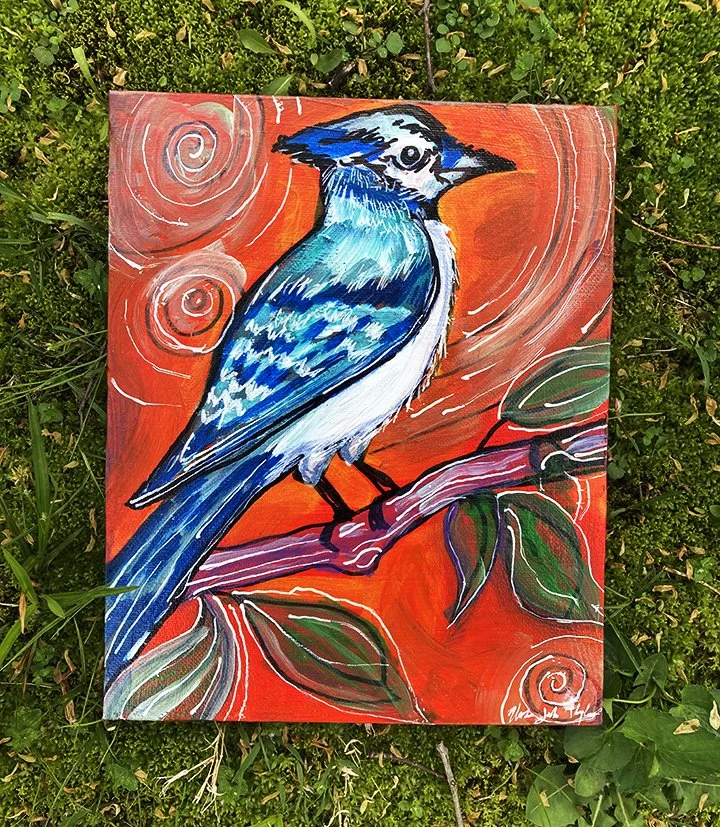IMG_2419_Bluejay_web.jpg