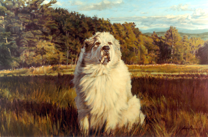 Great Pyrenees