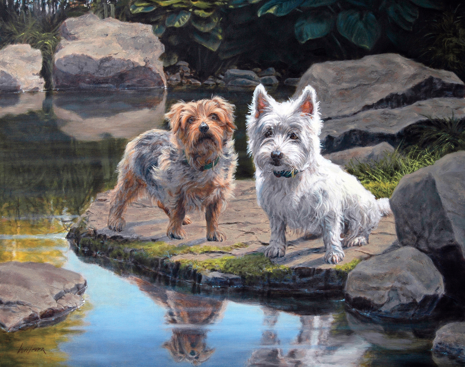 Norfolk and West Highland Terriers