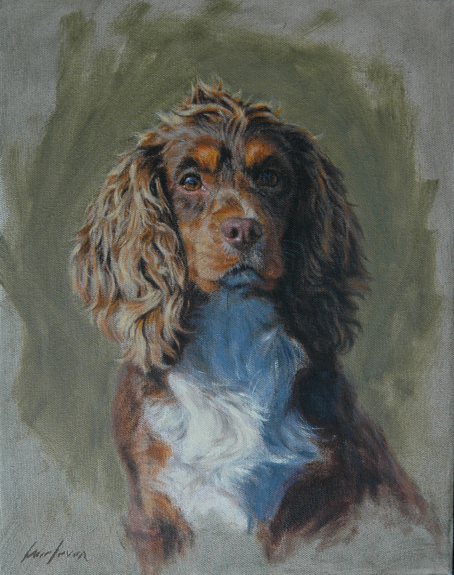 English Cocker Spaniel