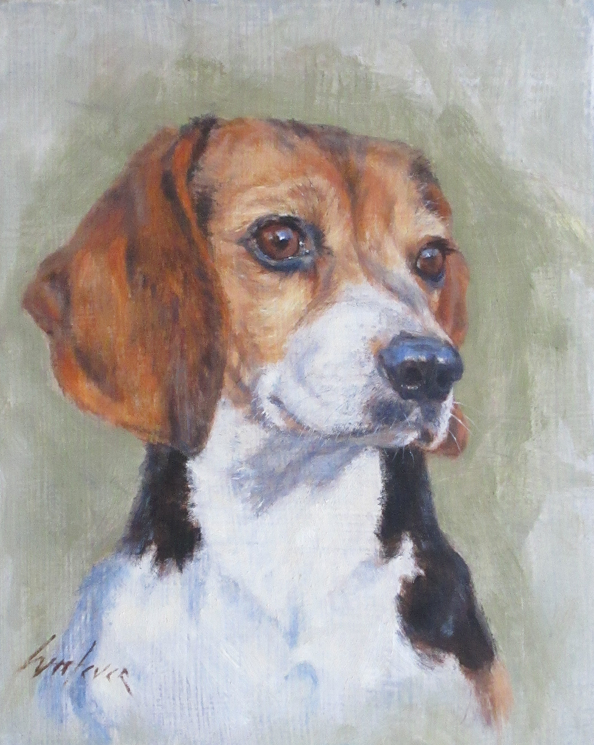 Beagle