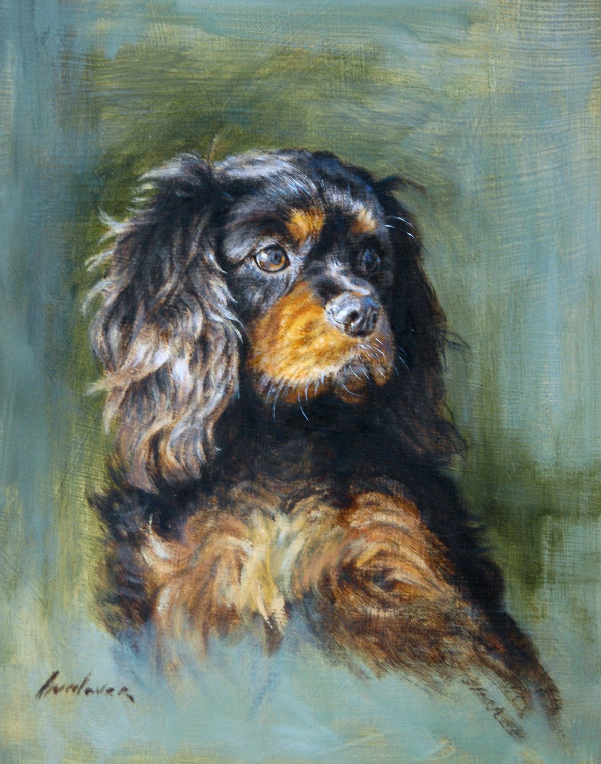 Cavalier King Charles Spaniel