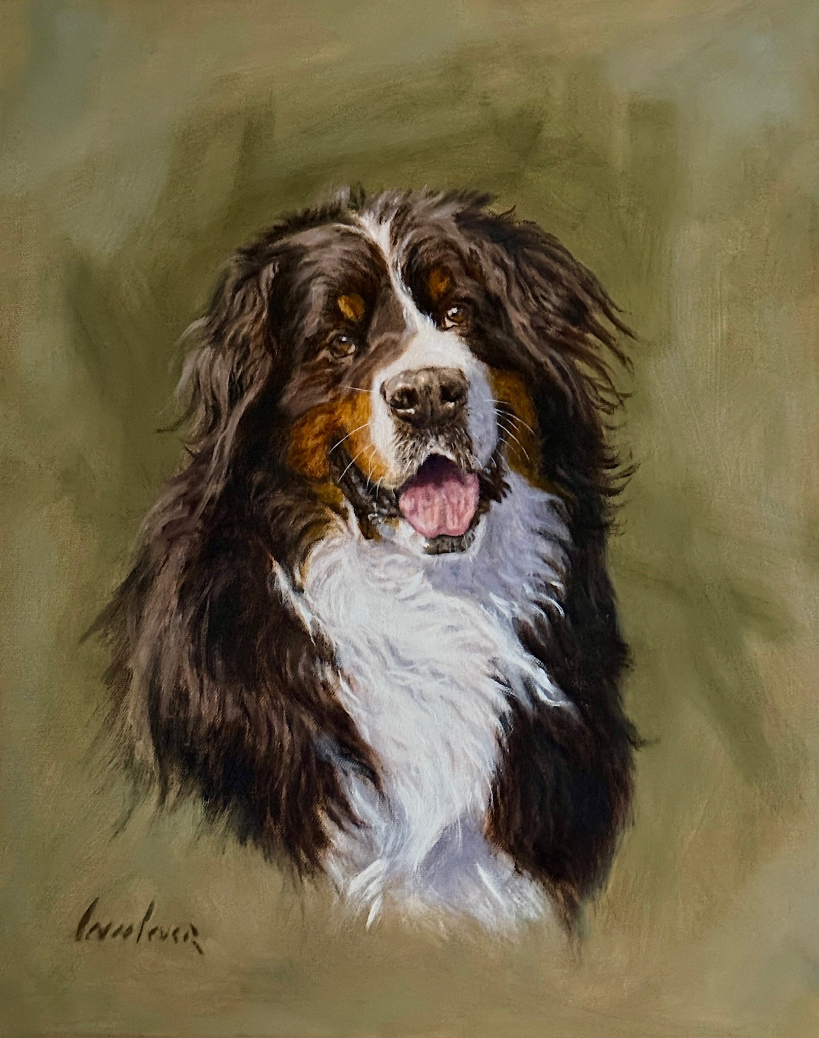 Burmese Mountain Dog