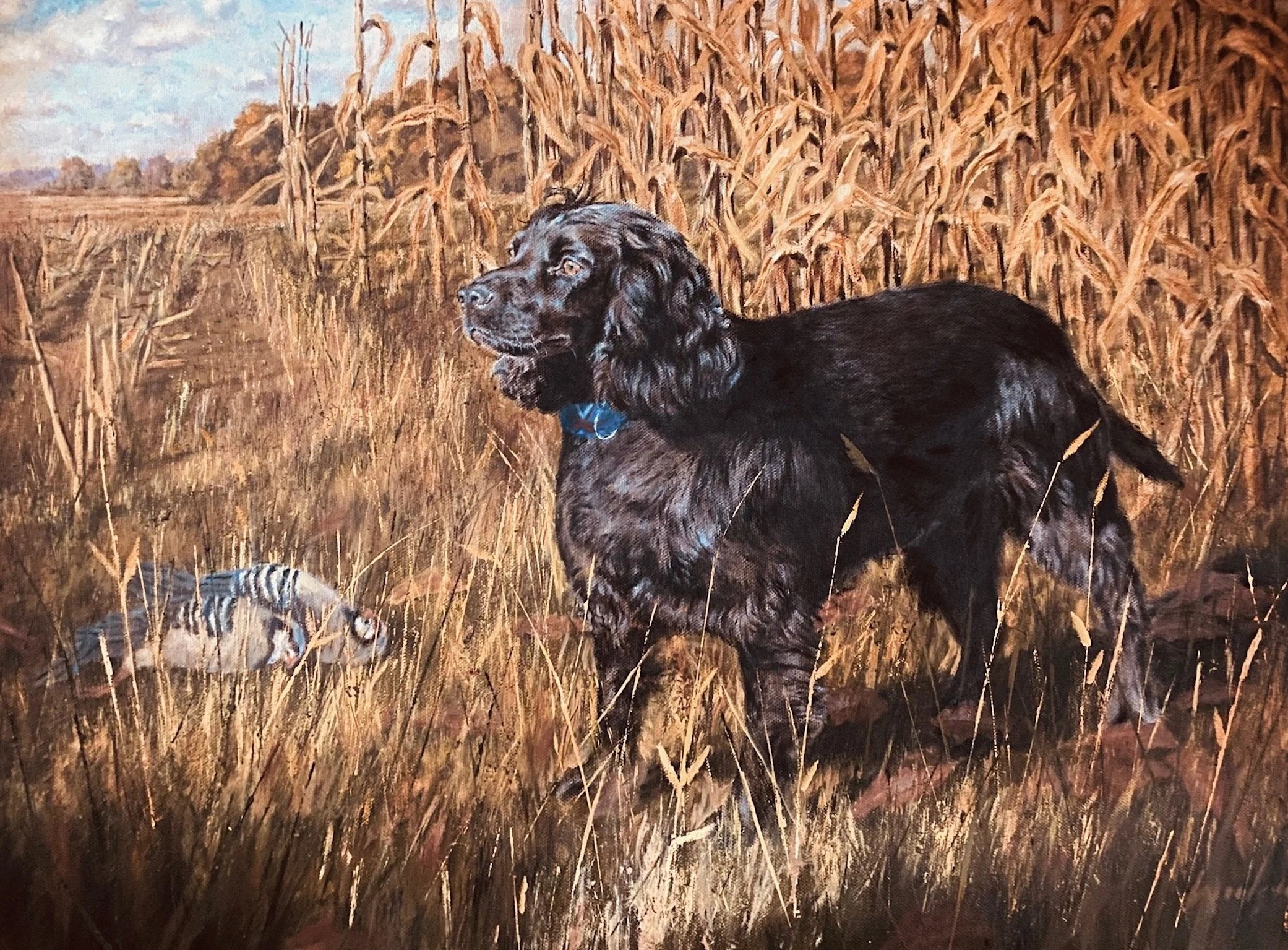 English Cocker Spaniel