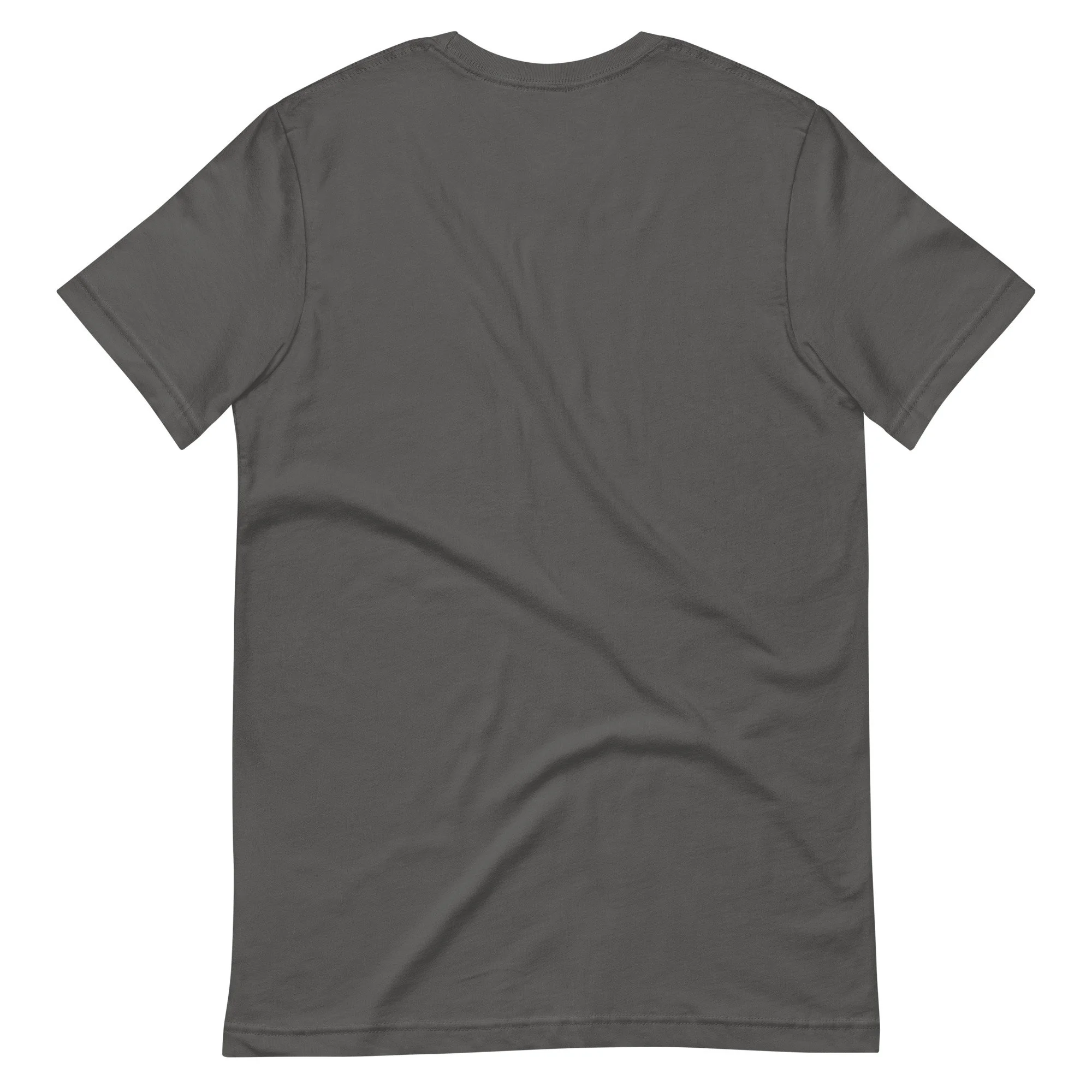 unisex-staple-t-shirt-asphalt-back-68164969827bc.jpg