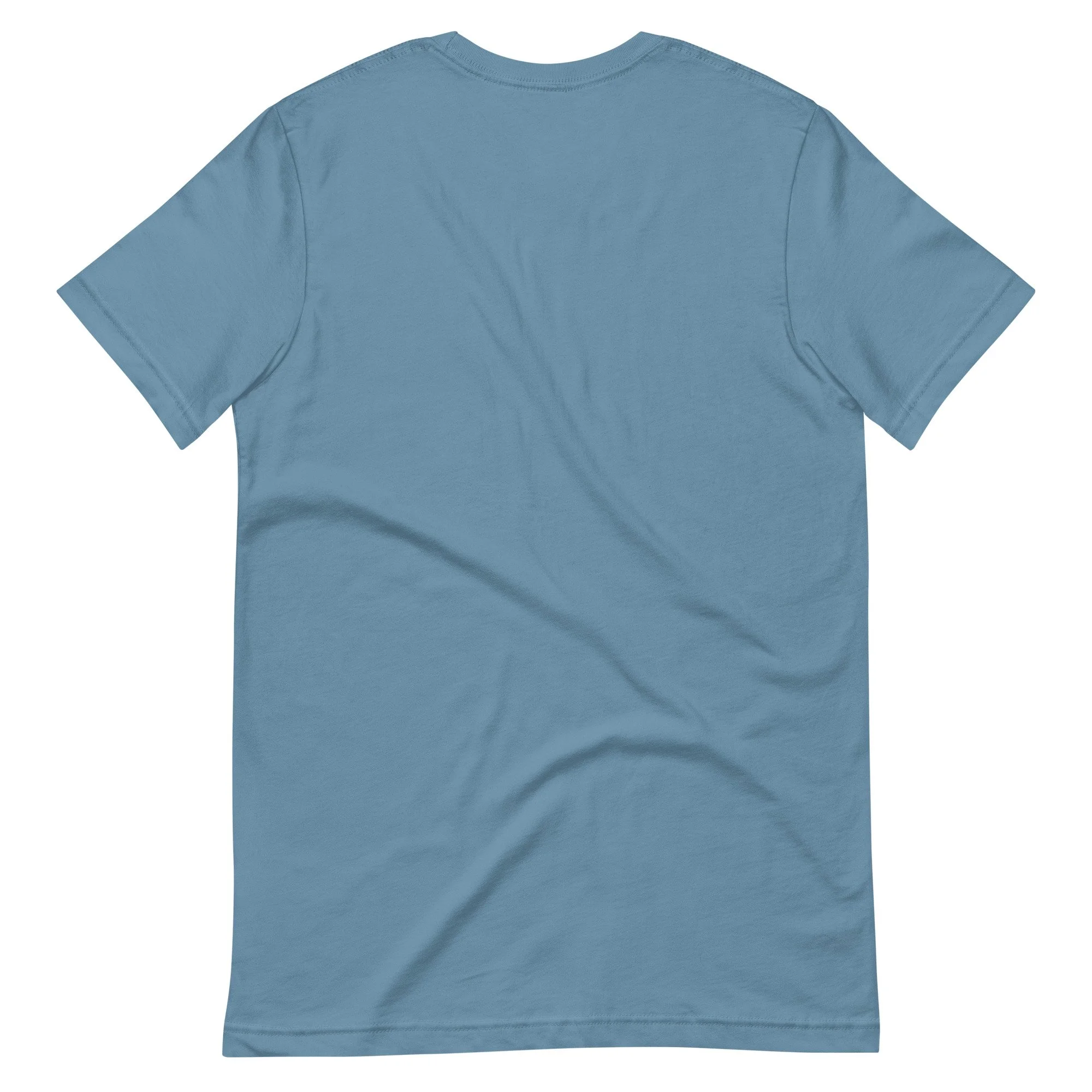 unisex-staple-t-shirt-steel-blue-back-68164969b2c9e.jpg