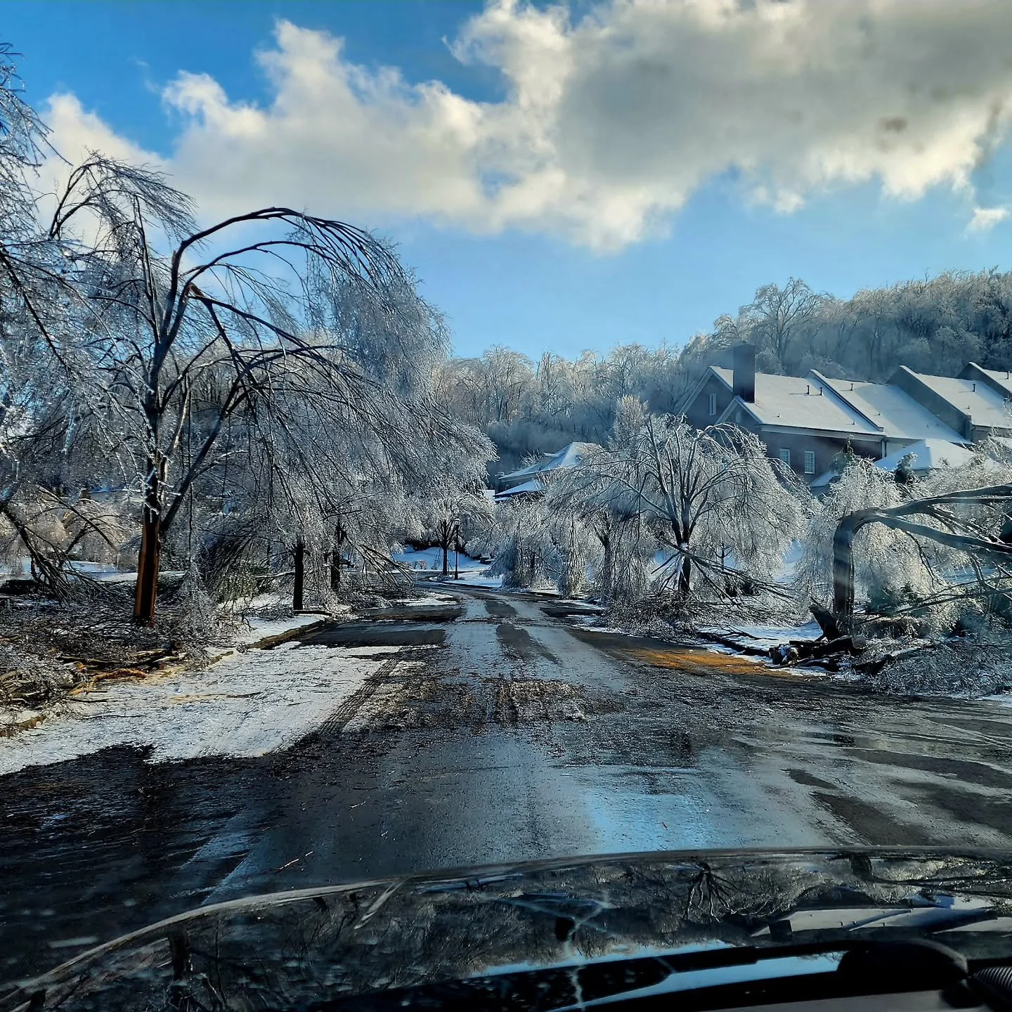 Well...it's been a week. Or 2. Out of power and water for close to a week courtesy of the great Nashville Ice Storm of 2026 was...different. As is the immediate change in landscape caused by trees coming down at a rate we've never witnessed before. S