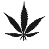 decriminalize.png