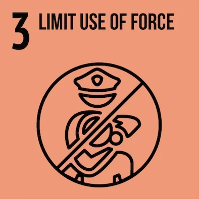 Excessive Force.jpeg