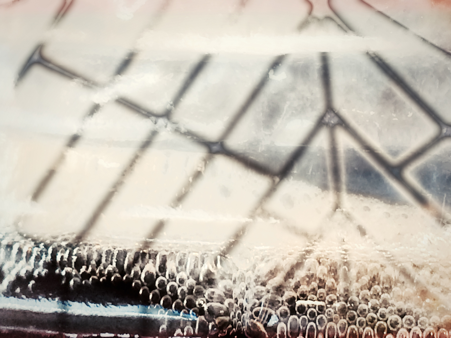 closeup_texture_2.jpg