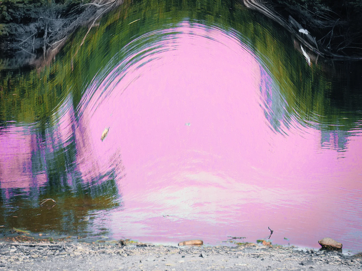 pond_standing_wave_instagram.jpg