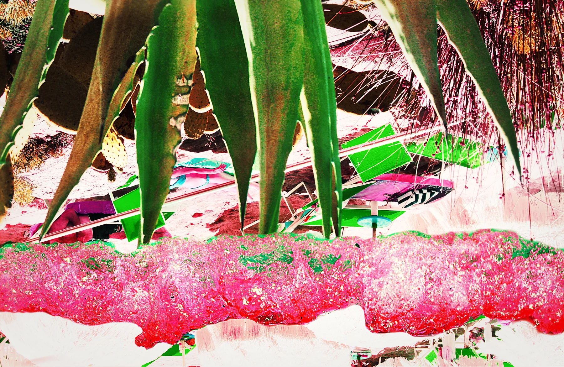 beach_cactus_spikes_viscera_line.jpg