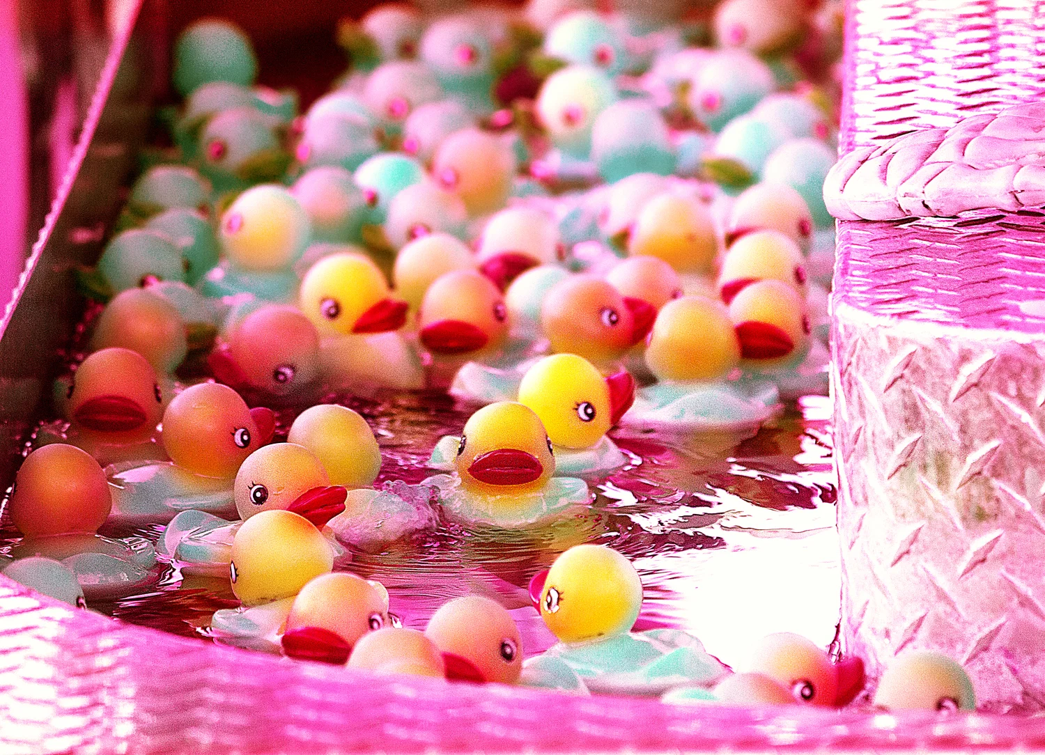 IMG_4136_rubber_duckies.jpg