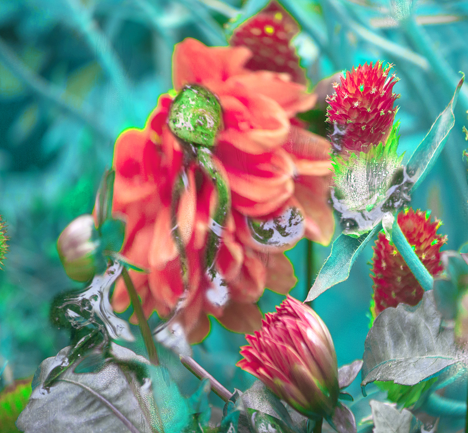 IMG_3992_flowers.jpg