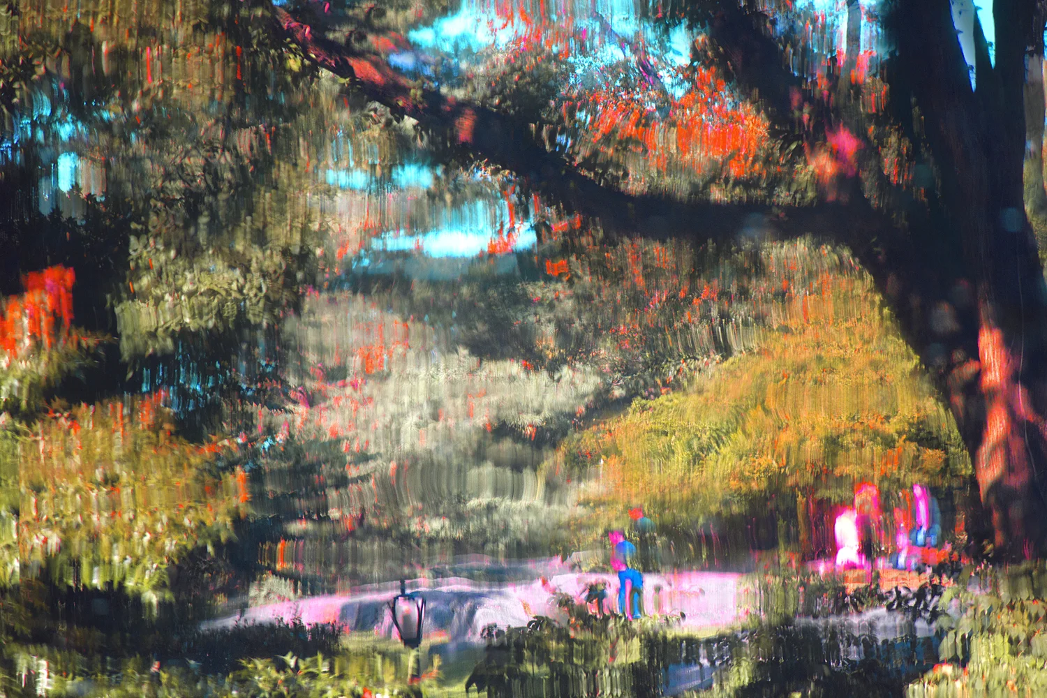 IMG_4769_central_park_pond.jpg