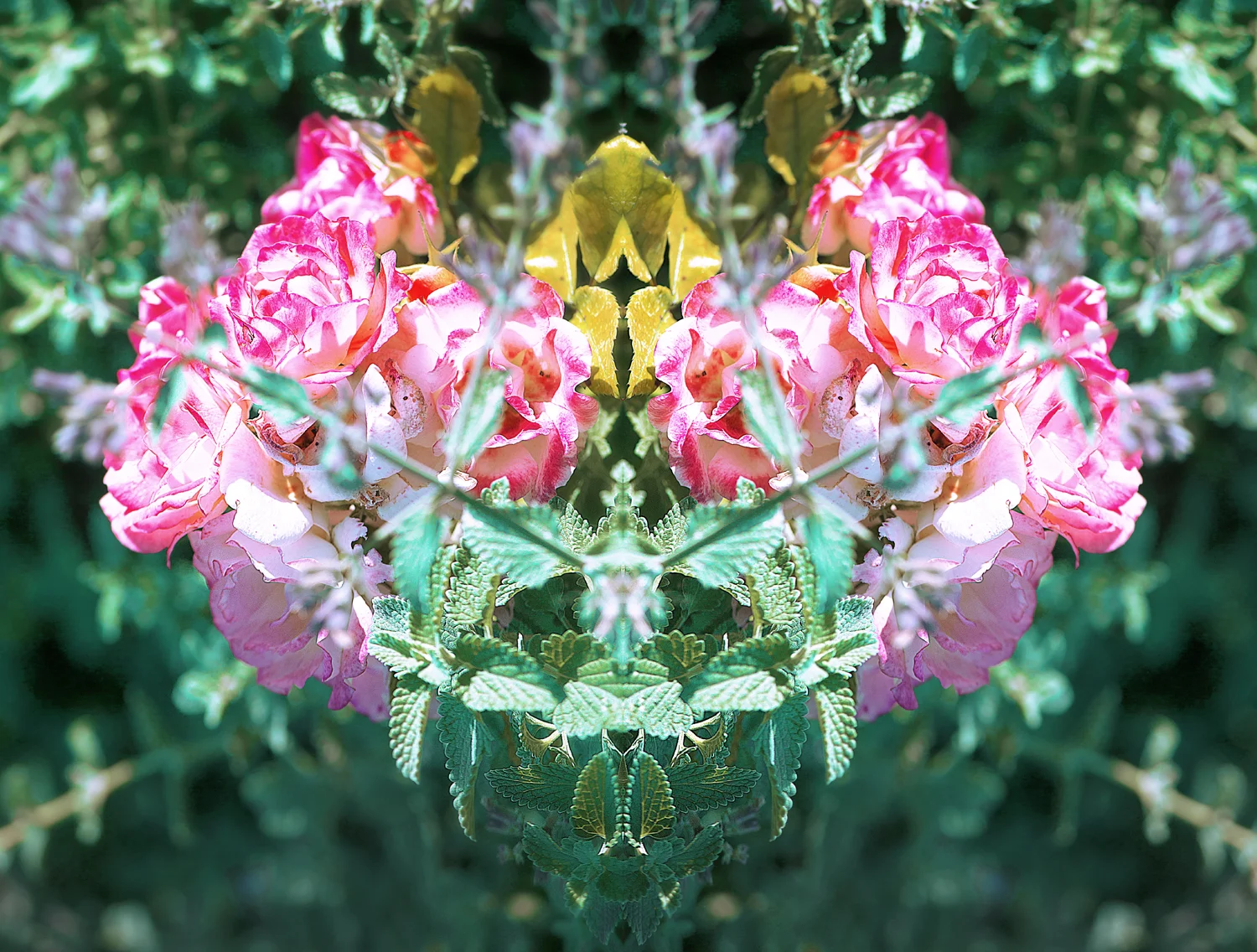 IMG_4983_flower_hat_facebook.jpg